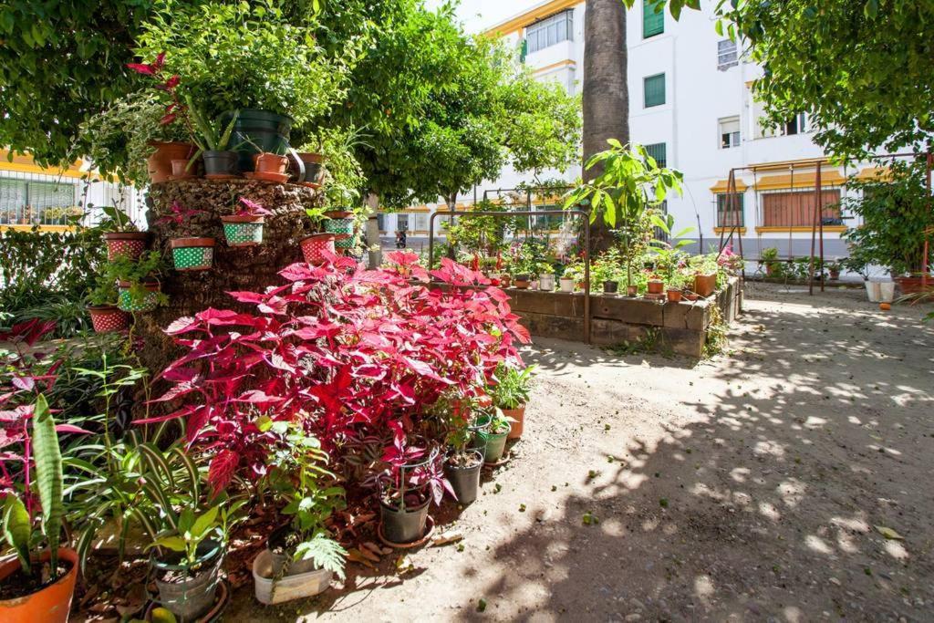 Apartamento A Los Pies Del Alcazar Sevilla Exteriér fotografie